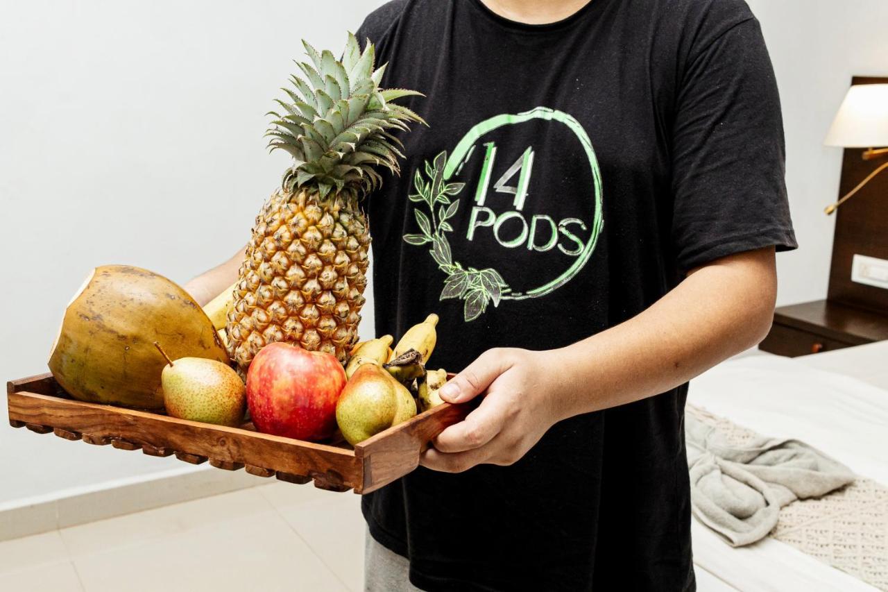 Fourteen Pods By The Sea Hotel Morjim Ngoại thất bức ảnh